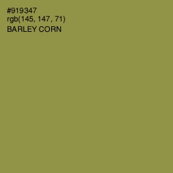 #919347 - Barley Corn Color Image